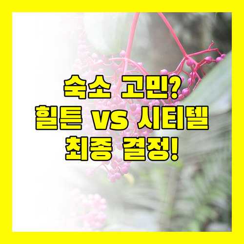 코타키나발루 숙소 결정장애 끝 힐튼 더 시가르 시티텔 비교